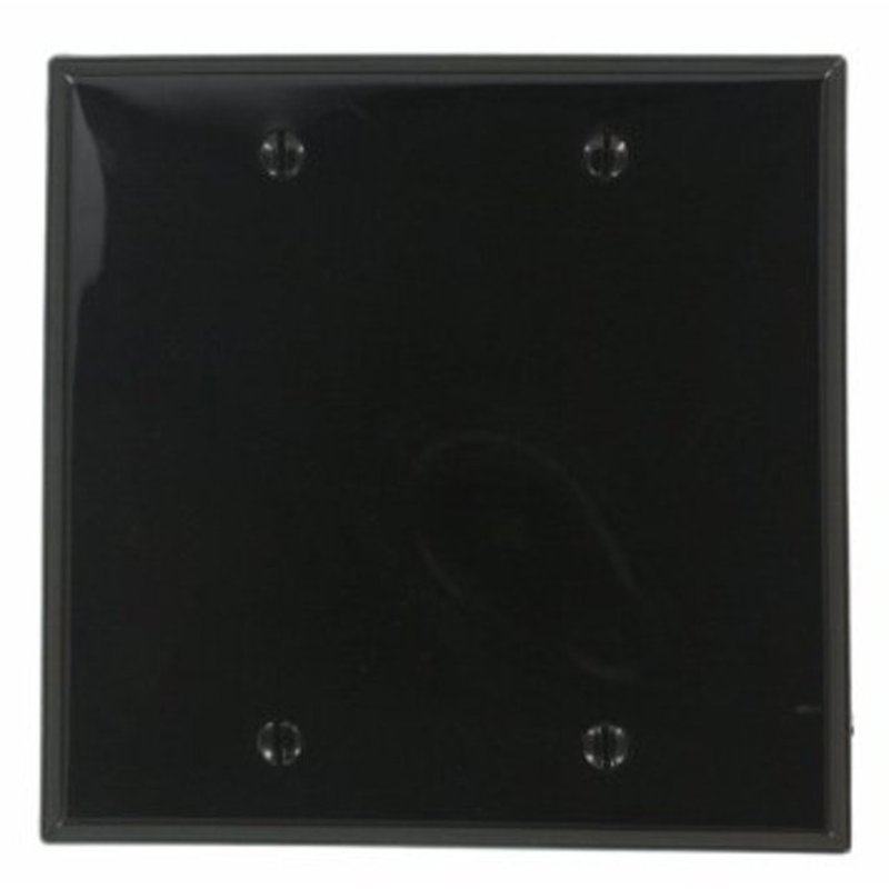 Blank Wallplate, 2-Gang, Nylon, Black, Standard, Box Mount