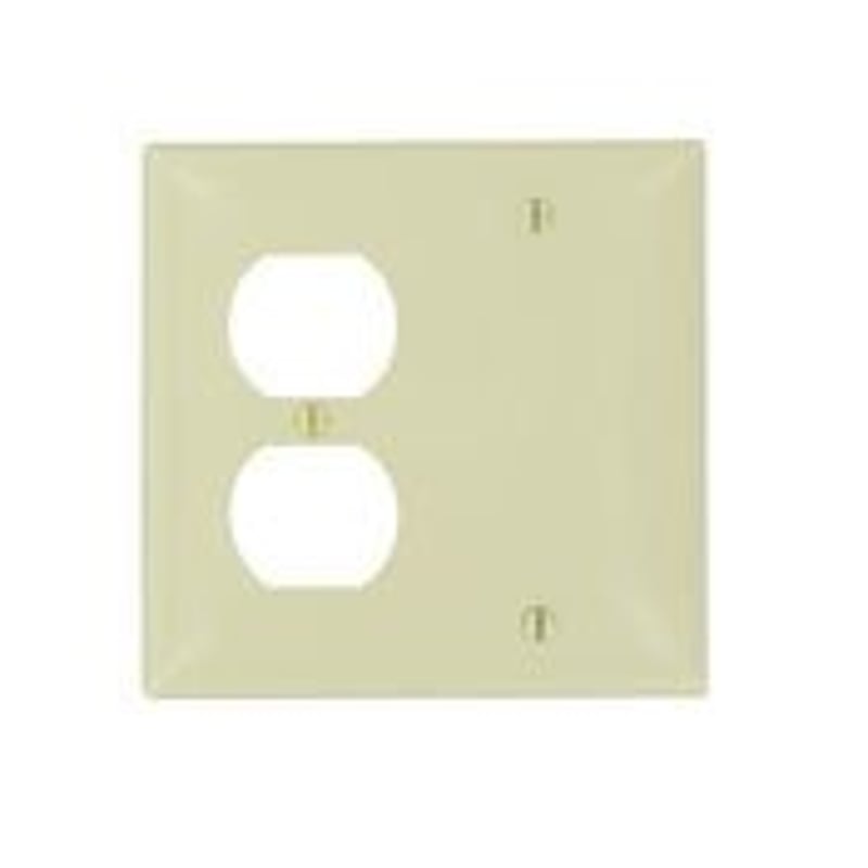 Combo Wallplate, 2-Gang, Blank/Duplex, Nylon, Ivory, Standard