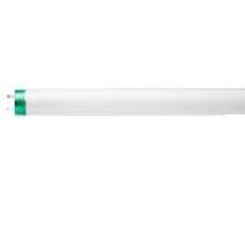 Fluorescent Lamp, T8, 48", 32W, 5000K *** Discontinued ***